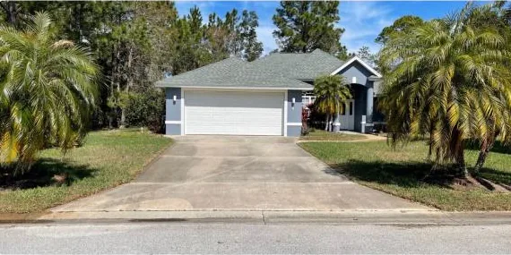 Before: driveway lined with palm trees