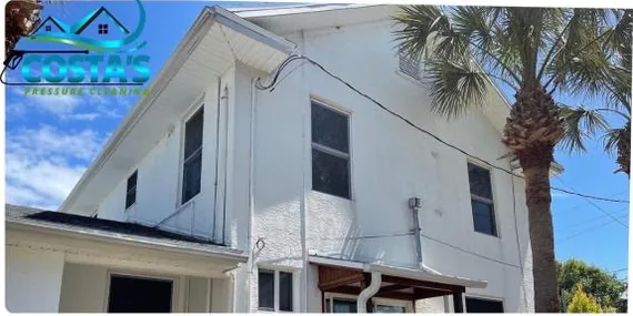 After: two-story home with palm trees, cleaned