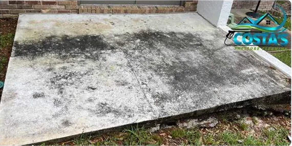 Before: concrete patio covered in black mildew