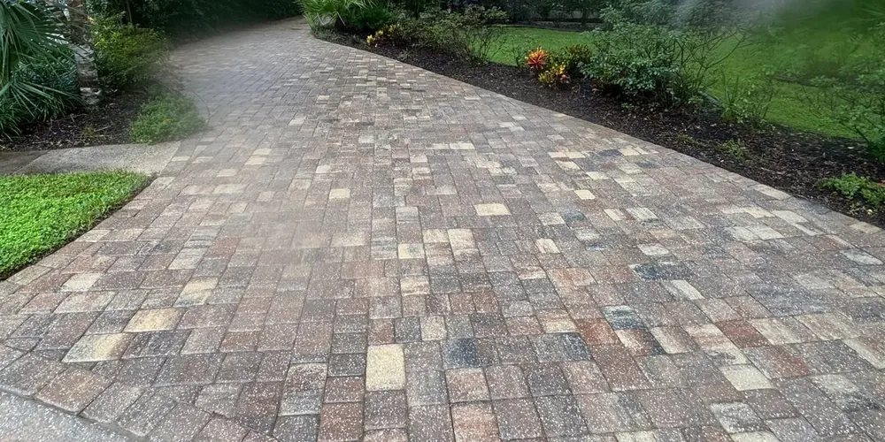 After: curved paver driveway darkened by mildew, cleaned