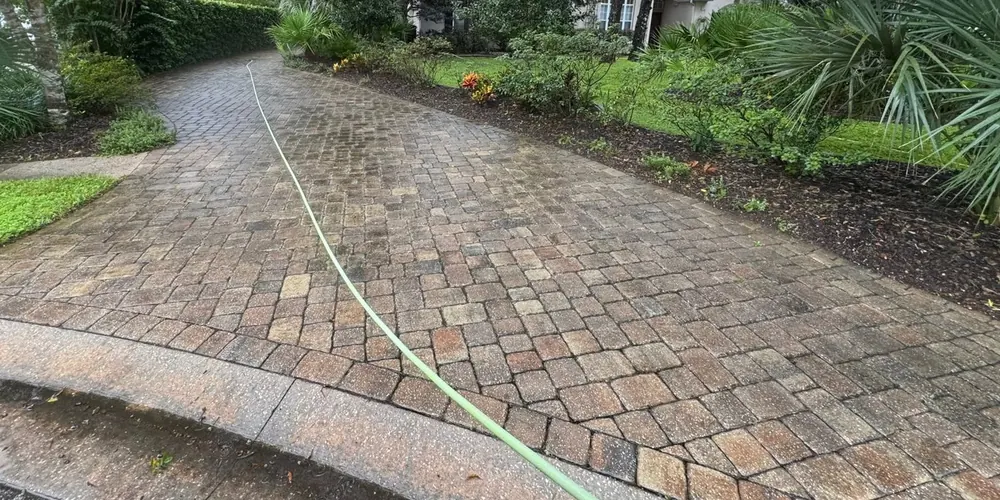 Before: curved paver driveway darkened by mildew