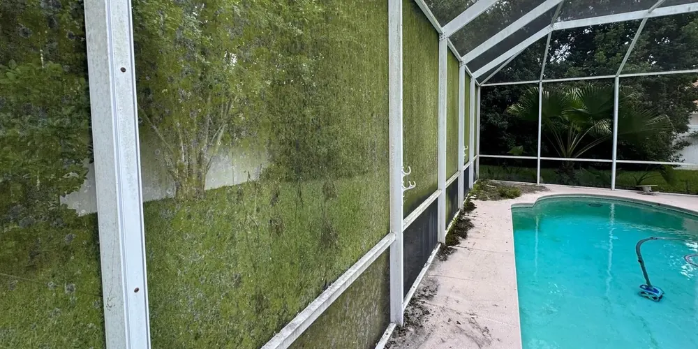 Before: pool screen enclosure with screens turned green by mildew