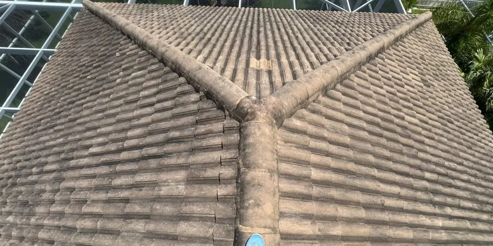 Before: tile roof beside a pool enclosure, darkened by algae