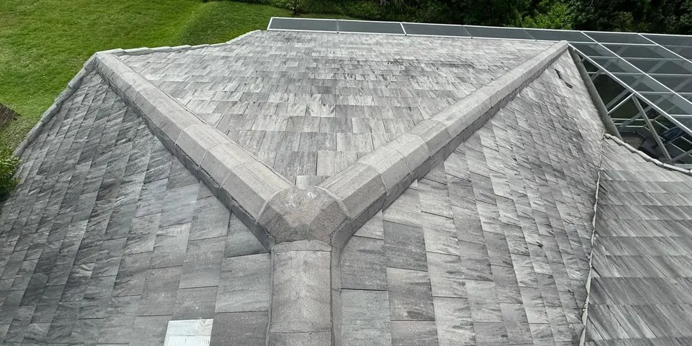 Before: gray concrete tile roof with dark growth