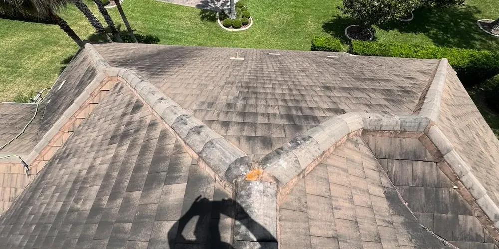 Before: tile roof with dark algae streaks