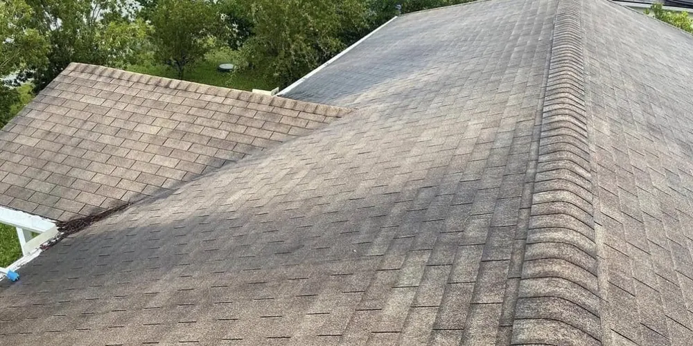 Before: shingle roof with dark algae streaks