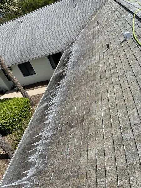 Shingle roof partway through a soft wash, with streaked and cleaned sections side by side