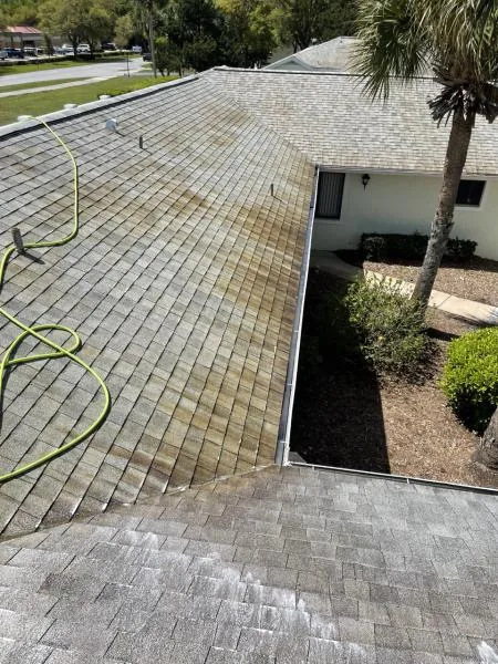 Roof soft wash in progress, the cleaned section noticeably lighter