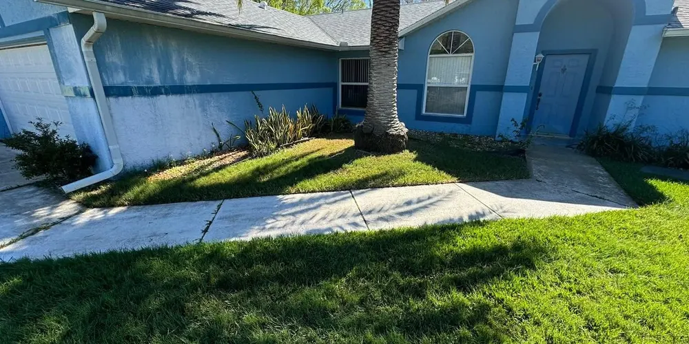 After: walkway edge stained orange by sprinkler water, cleaned