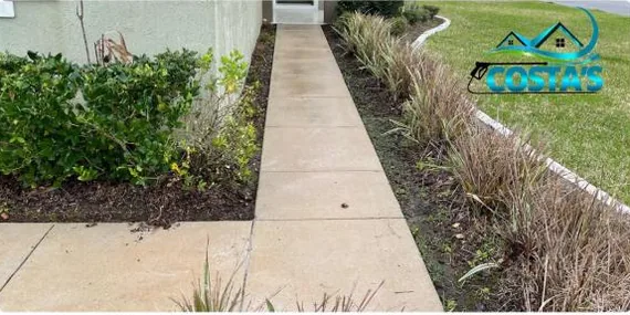 After: narrow side walkway, cleaned
